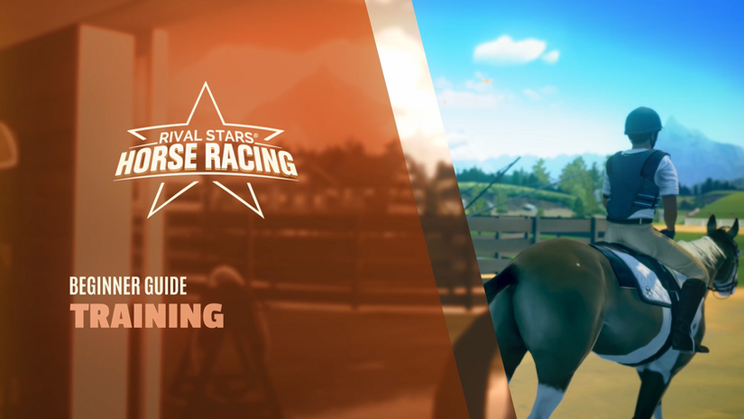 Beginner Guide: Training